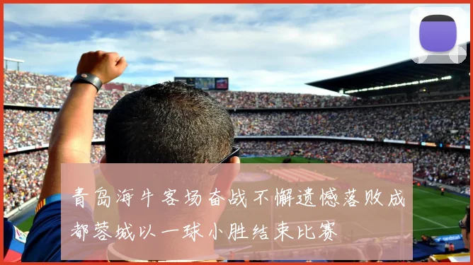青岛海牛客场奋战不懈遗憾落败成都蓉城以一球小胜结束比赛